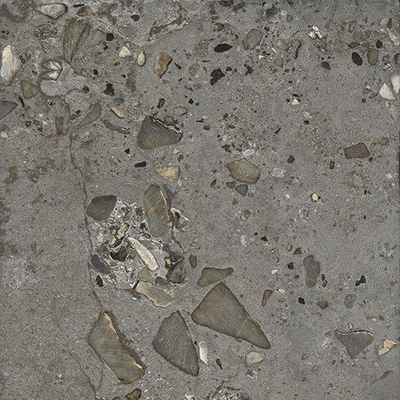 Ceralto Elaris Oak Vloertegel - 60x60cm - 9.0mm - gerectificeerd - Antracite