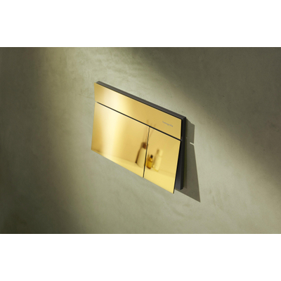 Hansgrohe IFrame Element E Bedieningsplaat spoelsysteem