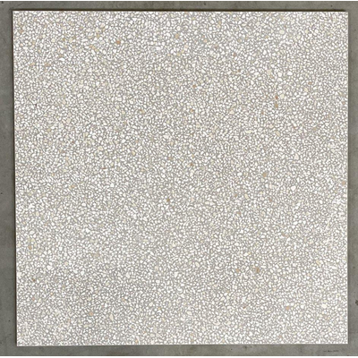 Terravito Lavena carreau mural et de sol - 60x60cm - 10mm - carré - rectifié - gris clair mat