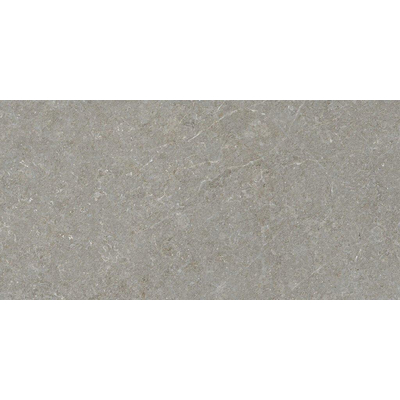ÉCHANTILLON Terravito Elvano Carrelage parquet céramique mural et de sol - 60x120cm - 9mm - Greige