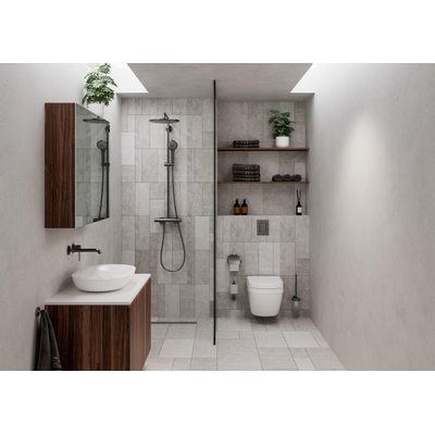 GROHE Skate Cosmopolitan Plaque de commande DualFlush Horizontale/Verticale Plastique Brossé Hard Graphite