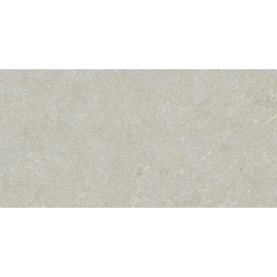 ÉCHANTILLON Terravito Elvano Carrelage mural en céramique - 30x60cm - rectifié - Bone