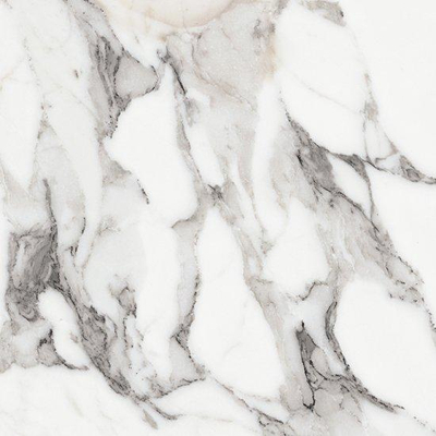 Ceralto Alabro Vein carrelage sol et mur 60X60cm rectifié Argent Mat