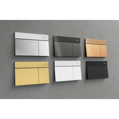 Hansgrohe iFrame Element E drukplaatvoor dual flush Brushed Black Chrome