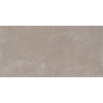 Ceralto Ivarno Core Carreau de sol - 60X120 - 6.5mm - mat - argent