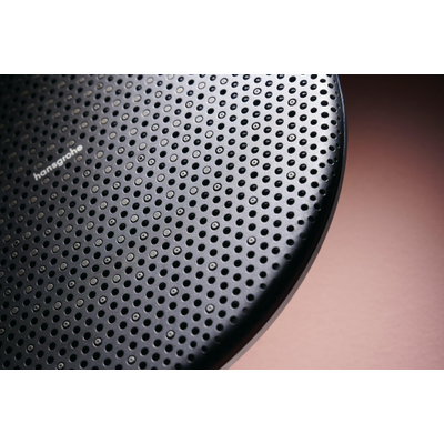 Hansgrohe Raindance alive colonne de douche - 300 1 jet EcoSmart therm. - Bronze brossé (bronze) (bronze)
