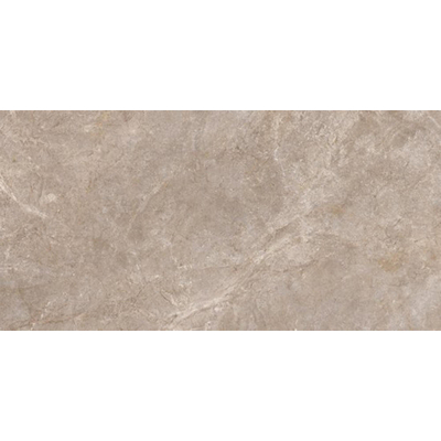 ÉCHANTILLON Ceralto Serrano Studio 600x1200 Pierre riche Boue Sable St 8.2Mm Mat Ret.R10 Boue