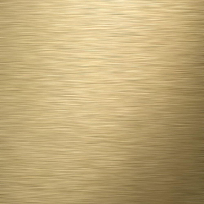 Tiger Tune Toiletrolhouder - zonder klep - zelfklevend - geborsteld messing/zwart