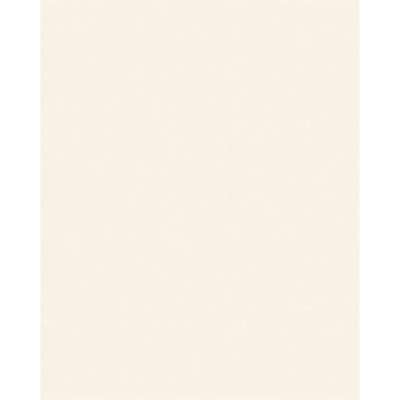 Mosa Hollnd2040 carreau de mur 19.7x24.7cm 7.4mm blanc brillant