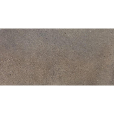 SAMPLE Ceralto Graina Edge 300X600 Concept St. Earth