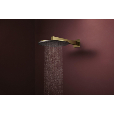 Hansgrohe Raindance alive hoofddouche 300 2 jet EcoSmart wand polished gold
