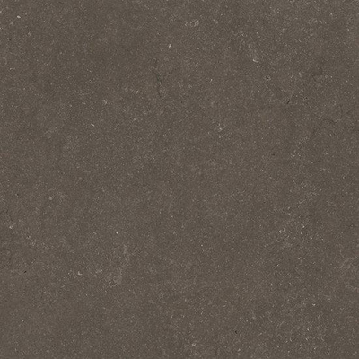 Ceralto Karsio Rock Tegels slabs klein - 120x120cm - 9.0mm - gerectificeerd - Noble brionne