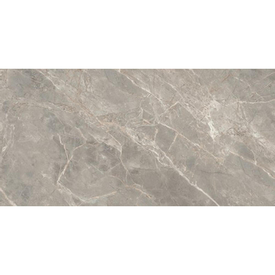 Douglas Jones Magnum vloer- en wandtegel 60X120cm gerectificeerd Gris Glans