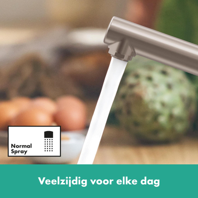 Hansgrohe Zesis keukenkraan 150 1jet stainless steel finish