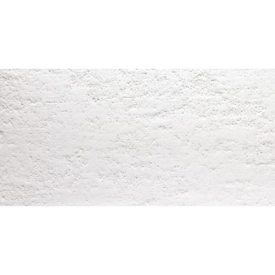 Ceramapolo Essence Vloertegel 29.5x59.2cm 10mm vorstbestendig gerectificeerd Branco Mat