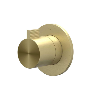 IVY Tribe Partie apparente - pour robinet d'arrêt encastré - Symmetry - rosace ronde - Acier inoxydable 316 brossé or mat PVD