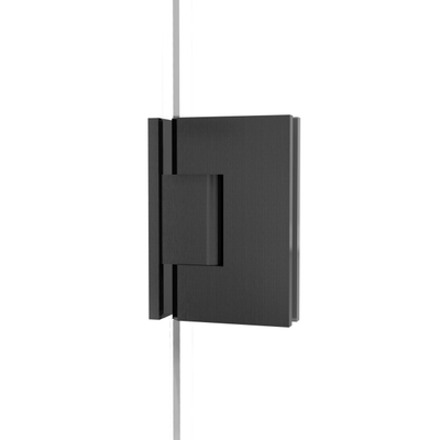 Fortifura Galeria Douchecabine - 100x120x200cm - scharnieren - deurgreep - vlak - gesatineerd veiligheidsglas - Geborsteld gunmetal PVD (Antraciet)