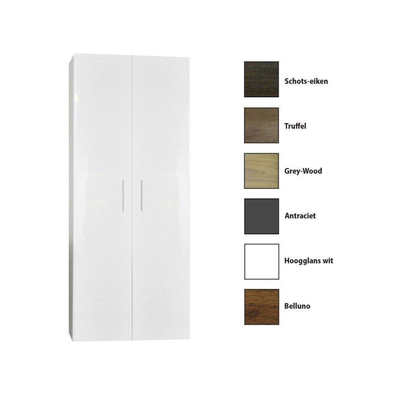 Sanicare Q4 - Q15 kolomkast dubbel 67x32x160cm 2 deuren standaard greep met softclose wit hoogglans