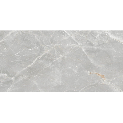 SAMPLE Terravito Gizino Keramische vloer & wand - 60x120cm - 10.5mm - gerectificeerd - Grijs