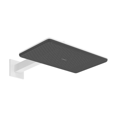 Hansgrohe Raindance alive pomme de douche 210/340 2 jets bras mural mat blanc