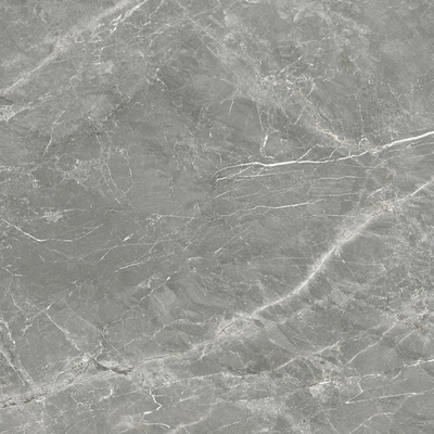 Prissmacer Cerámica Fior Di Bosco Carrelage de sol et de mur - 120x120cm - 10.2mm - rectifié - Gris