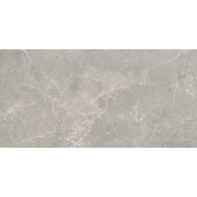 Baldocer Cerámica Concept wand- en vloertegel - 120x60cm - 9mm - gerectificeerd - Grijs