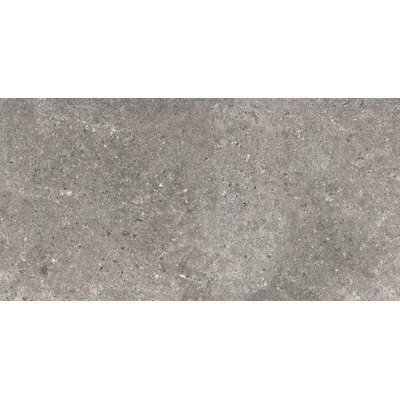 Baldocer Cerámica Stoneland wand- en vloertegel - 120x60cm - 9mm - gerectificeerd - Grijs