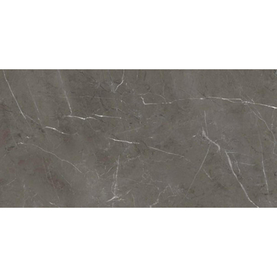 ABK Imoker Sensi Vloer- en wandtegel - 60X120cm - 8,5mm - Rechthoek - gerectificeerd - Porcellanato gekleurd Stone Grey Glans