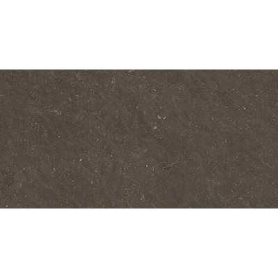 Ceralto Karsio Rock Vloertegel - 60x120cm - 9.0mm - gerectificeerd - Noble brionne