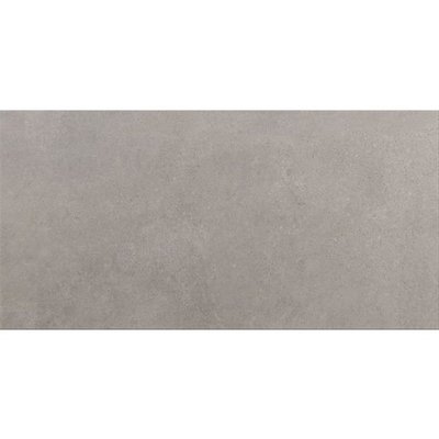 Vtwonen raw carreau de sol et de mur 60x120cm gris foncé mat