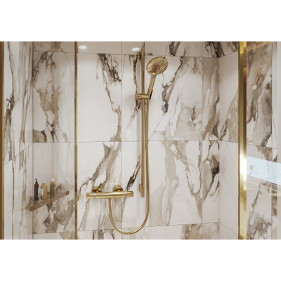 Hansgrohe Ecostat Comfort mitigeur de douche thermostatique avec raccords polished gold
