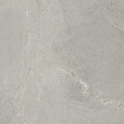 Ceralto Roccato Mineral Vloertegel - 120X120 - 6.5mm - mat - zilver