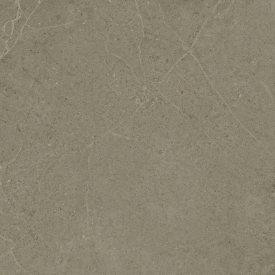 Terravito Allora wand- en vloertegel - 60x60cm - gerectificeerd - Betonlook - Taupe mat (bruin)