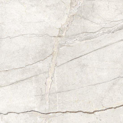 ÉCHANTILLON Ceralto Granito Mineral Carreau de sol - 60x60cm - 9.0mm - rectifié - Blanc