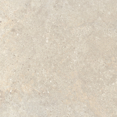 ÉCHANTILLON Terravito Larino Ivory mat 80x80 rett