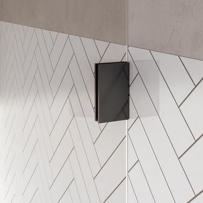 BRAUER Void Carving Nisdeur - 2-delig - 200x200cm - 70cm draaideur aan glas - glascoating - omkeerbaar - helder glas - geborsteld gunmetal PVD