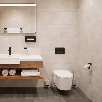 Hansgrohe AddStoris S closetborstelgarnituur wandmontage mat zwart