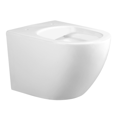 Adema Salina 2.0 hangtoilet – compact – spoelrandloos – diepte 48,5 cm – met softclose zitting – glans wit