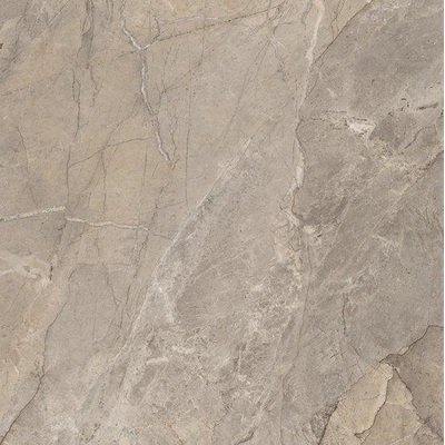 Ceralto Roccato Mineral Carreau de sol - 120X120 - 6.5mm - mat - greige