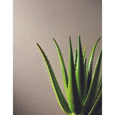 SAMPLE Atlas Concorde Solution Ultrablock Vloer- en wandtegel - 60x60cm - 8mm - gerectificeerd - (Crème)