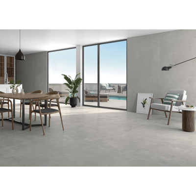 Terravito Belmiro wand- en vloertegel - 59.5x120cm - 10.0mm - Rechthoek - gerectificeerd - Betonlook - mat zilver - Grey
