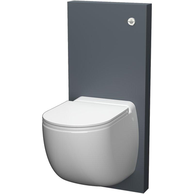 Sanibroyeur Comfort box wandcloset met vermaler - antraciet montageframe/box - inclusief afneembare soft-close zitting - glans wit