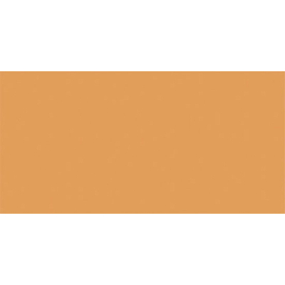Rako Color One Carrelage mural - 19.8x39.8cm - 7.0mm - orange clair