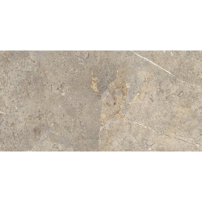 Ceralto Palazzo Vein Vloertegel - 120x60cm - 9.5mm - gerectificeerd - Everbrown
