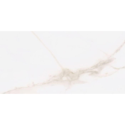 ÉCHANTILLON Terravito Tovaro carreau mural et de sol - 30x60cm - 10mm - Rectangle - rectifié - Aspect pierre naturelle - Blanc brillant
