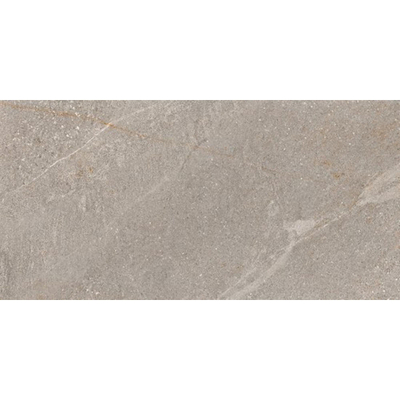 Ceralto Dorsena Wood Vloertegel - 29.5x59.5cm - 8.0mm - gerectificeerd - Taupe