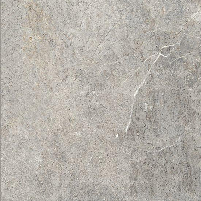 SAMPLE Ceralto Palazzo Vein Vloertegel - 60x60cm - 9.5mm - gerectificeerd - Evergreige