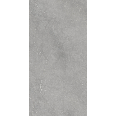 ÉCHANTILLON Terravito Rovella carrelage de sol - 60x120cm - rectifié - Aspect pierre naturelle - Pearl mat (gris)