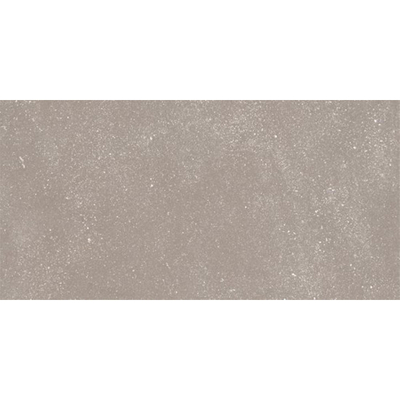 Ceralto Ivarno Core Vloertegel - 60X120 - 6.5mm - mat - zilver