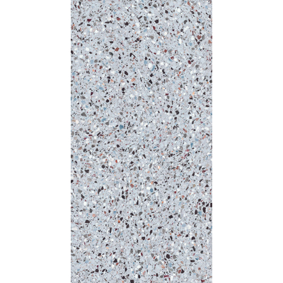 ÉCHANTILLON Terravito Damico Carrelage sol et mur - 60x120cm - rectifié - gris mat
